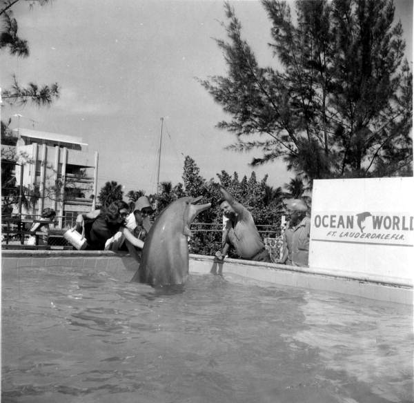 South Florida, Fort Lauderdale Miami. Visitor Attractions and Things