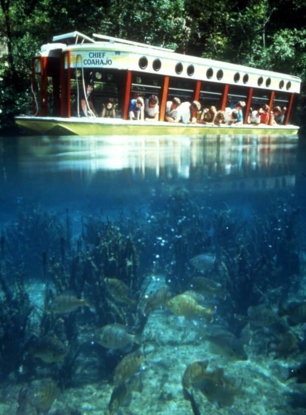Florida Memory Visitors aboard the "Chief Coahajo" glassbottom tour