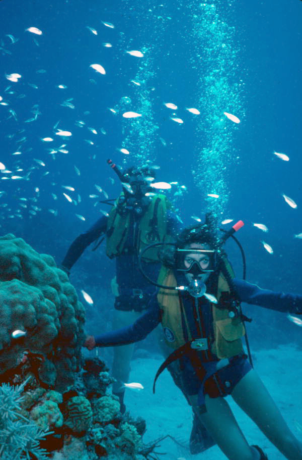 Florida Memory Scuba divers enjoying the reef dive Key West, Florida.
