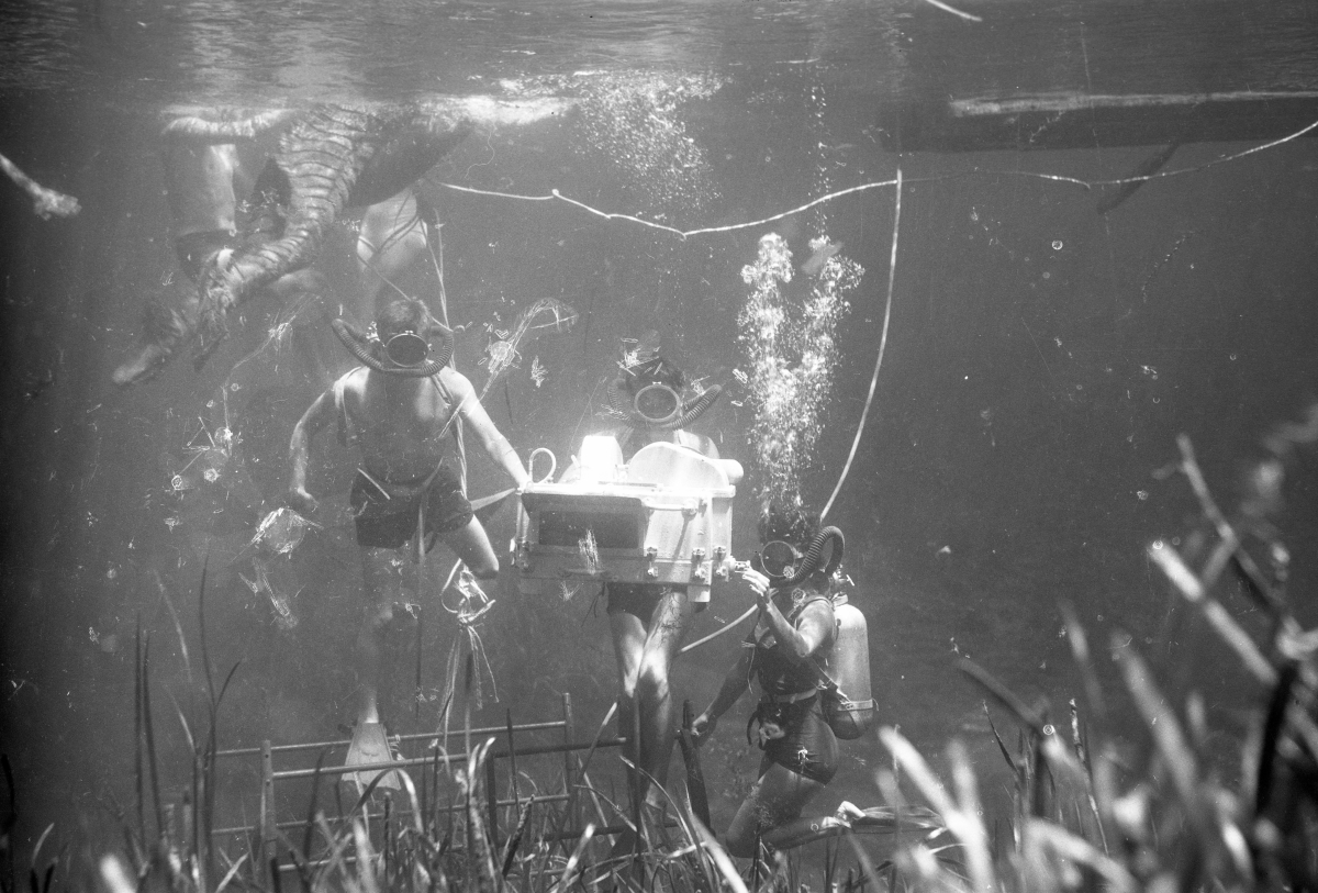 Florida Memory Underwater film crew on set of "Revenge of the