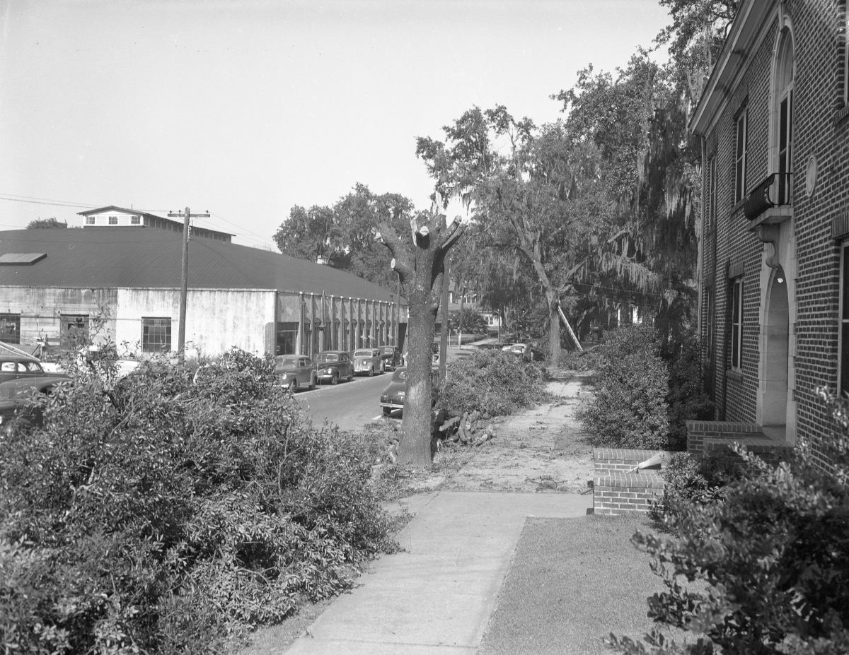 Florida Memory Commercial buildings Tallahassee, Florida.