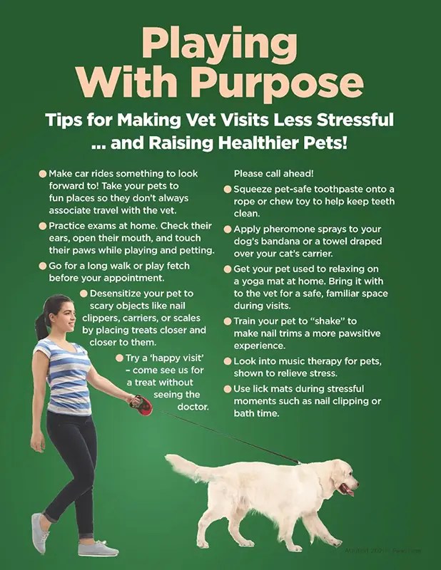 Fear Free Visits Family Pet Hospital