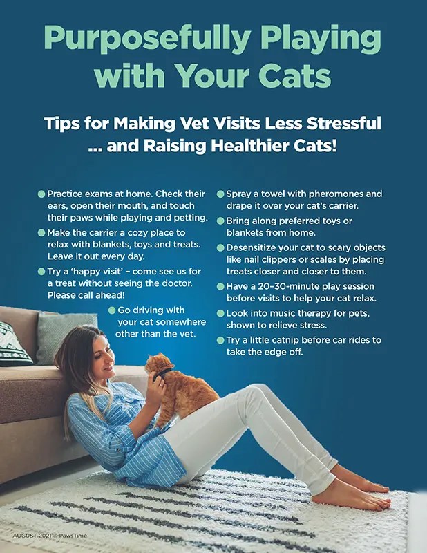 Fear Free Visits Family Pet Hospital