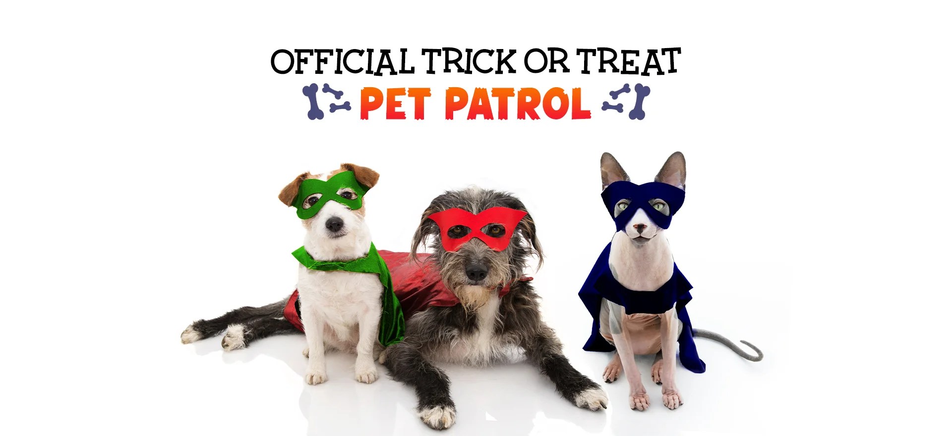 Vet Clinic in Mapleton, UT & Springville, UT Family Pet Hospital