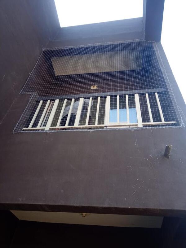 PIGEON CONTROL INDIA in Vadodara, India