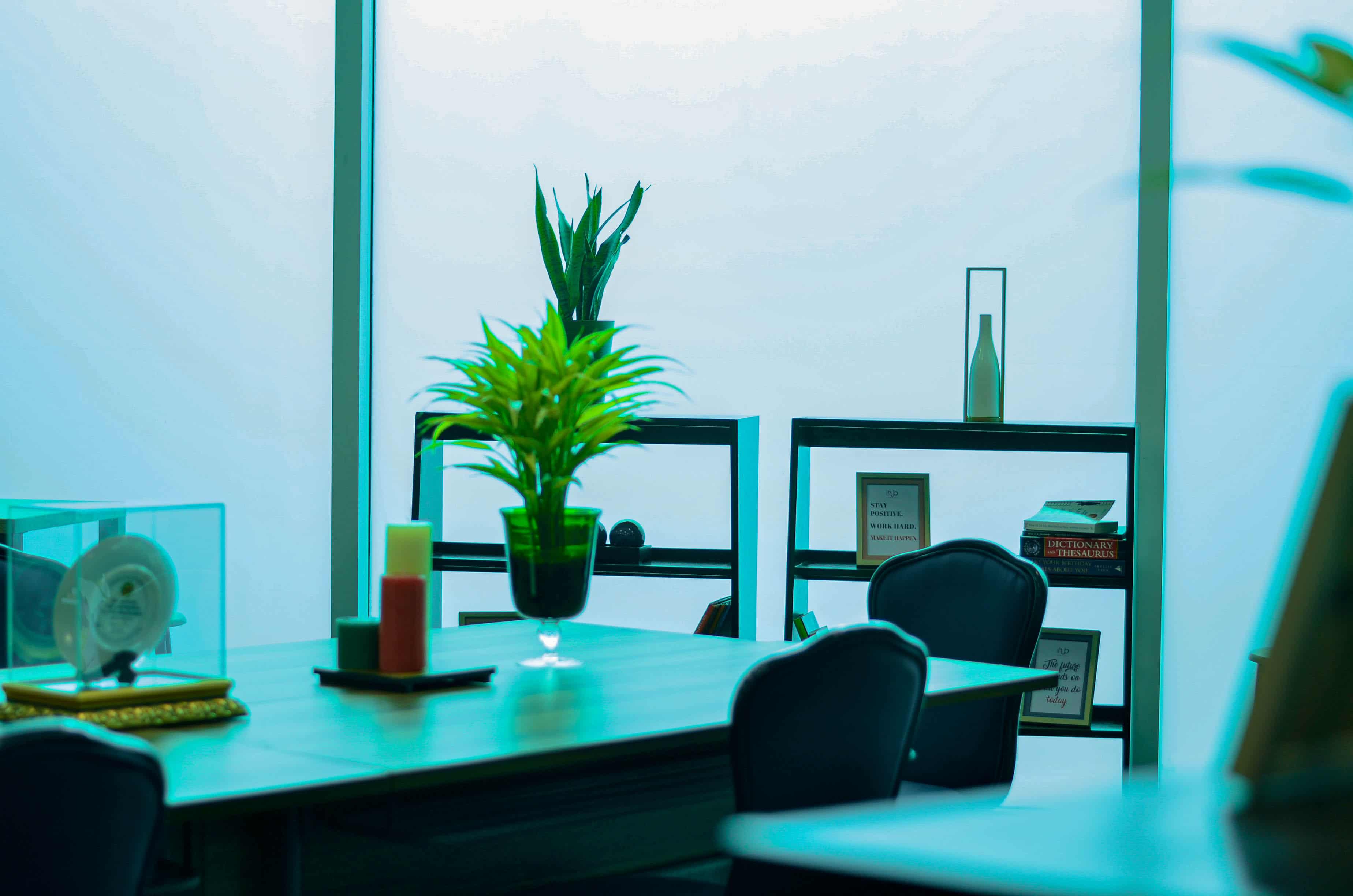 Griffins Hub First Pacific Leadership Academy