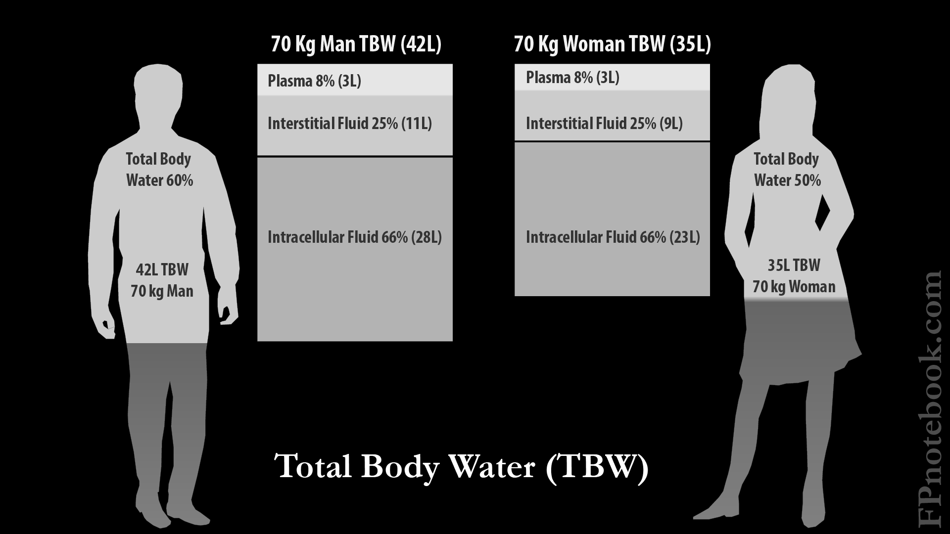 Total Body Sodium Deficit