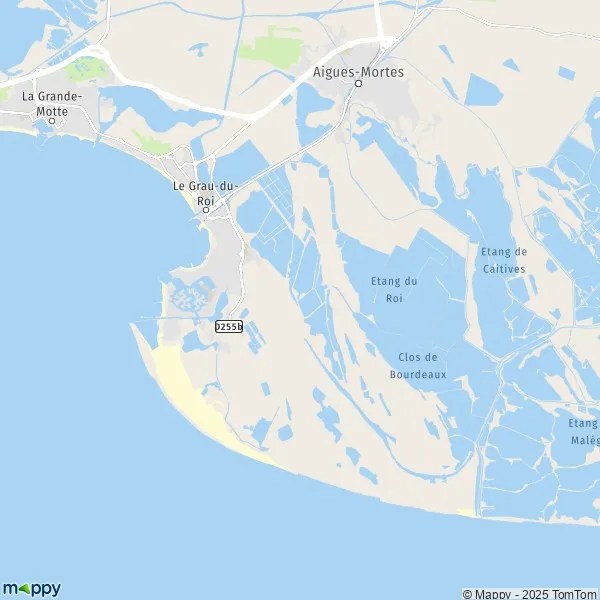 Plan Le GrauduRoi carte de Le GrauduRoi (30240) et infos pratiques