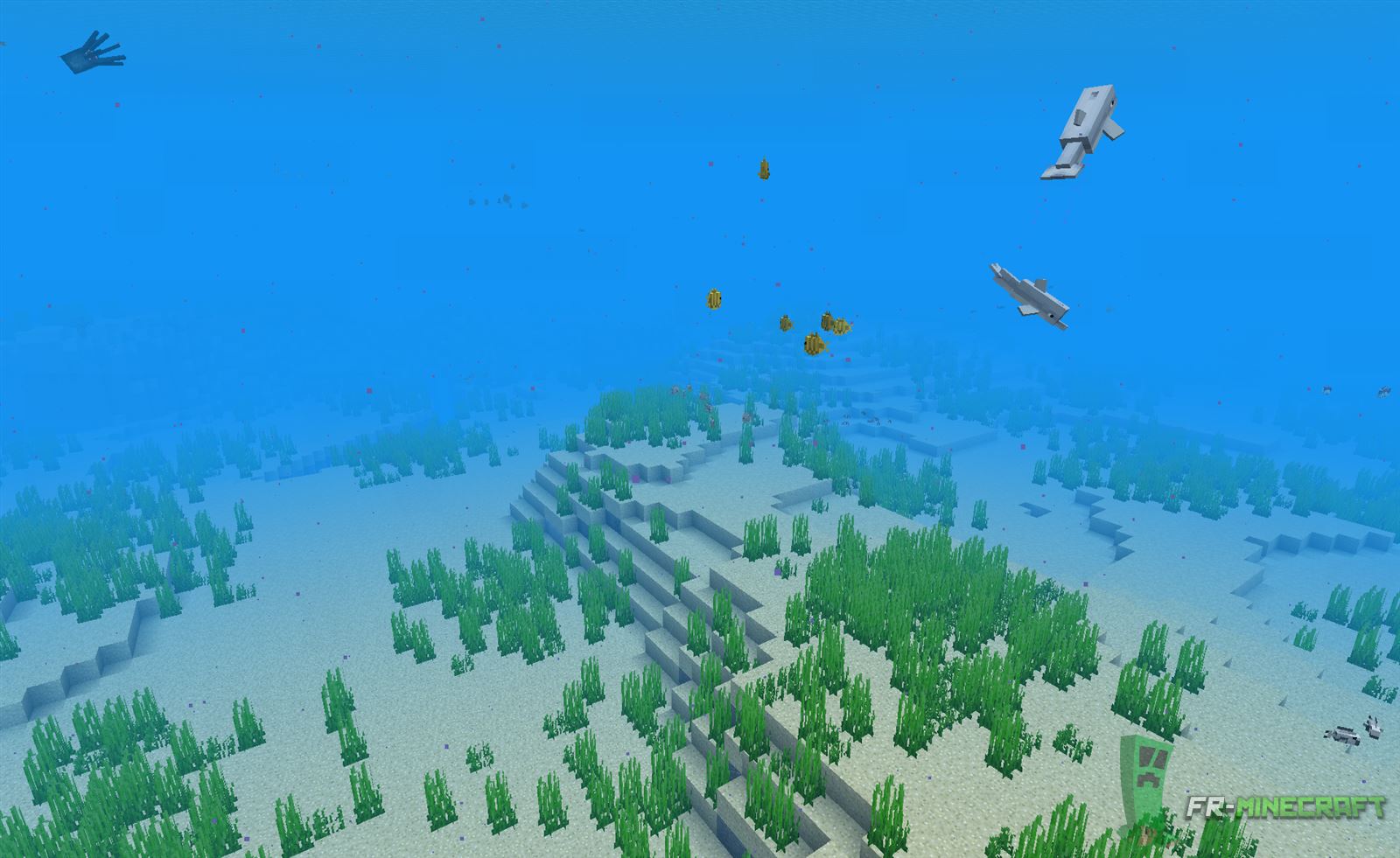 Minecraft Biome Océan chaud profond