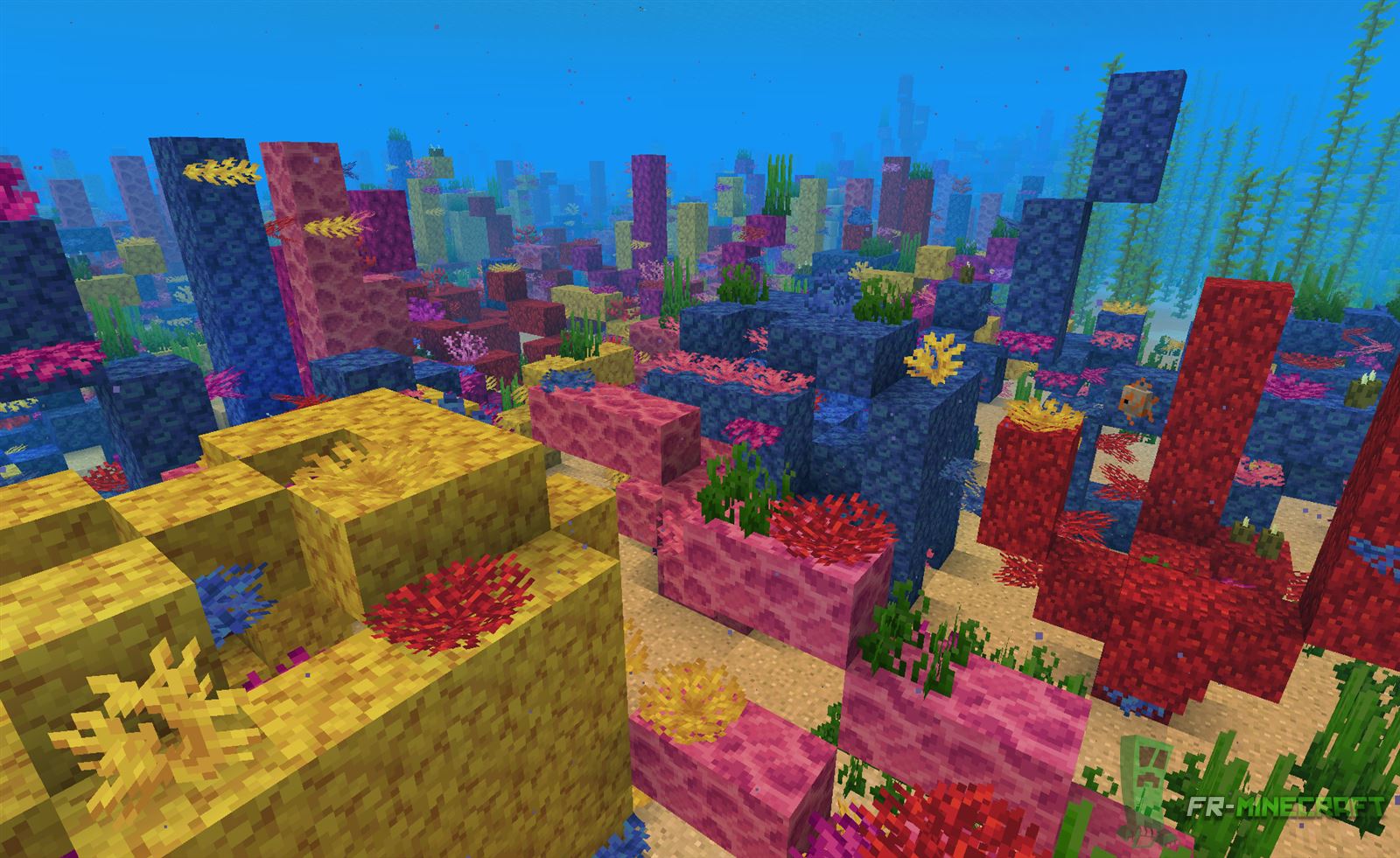 Minecraft Biome Océan chaud