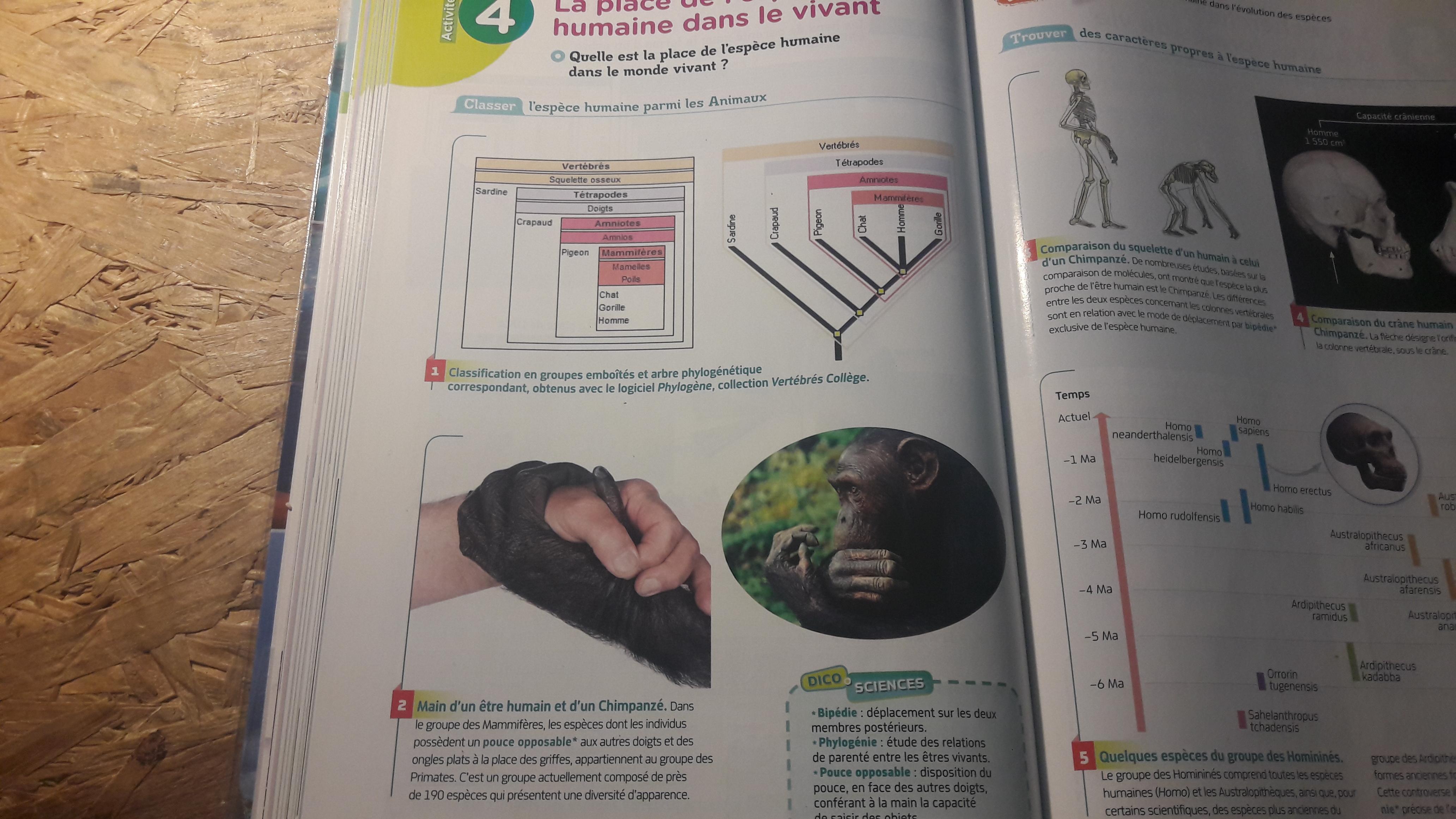 Bonjour à tousse j'ai un devoirs d'SVT et je ne comprend r