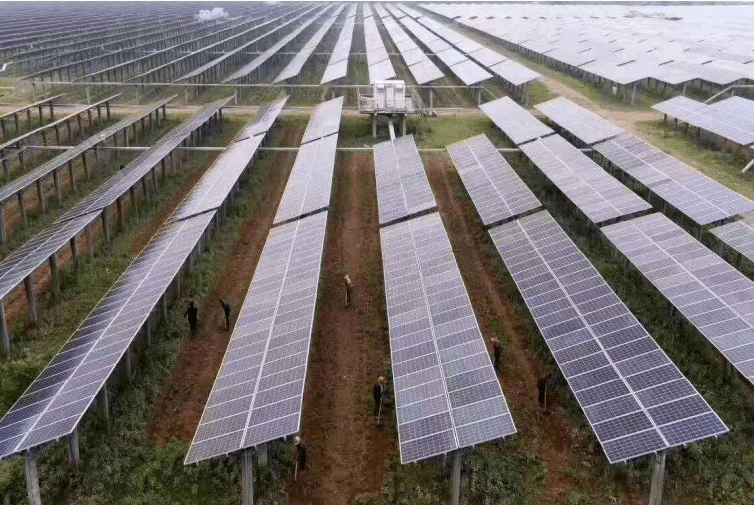 Amazon s'associe à Amp Energy pour établir son premier projet solaire