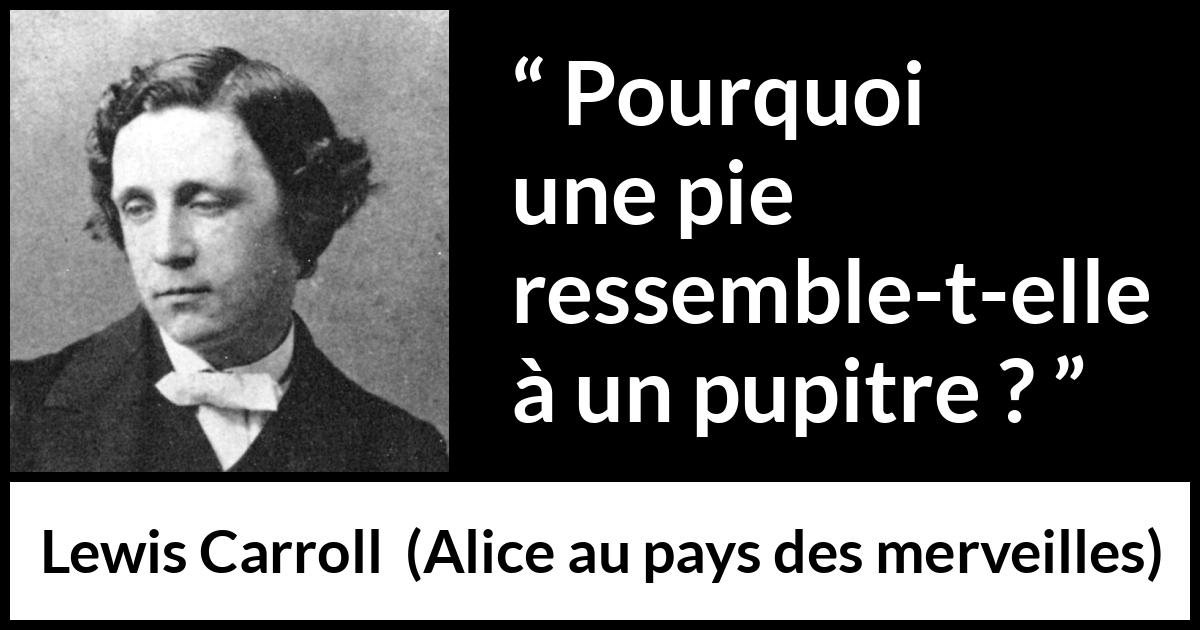 Citations sur la pie Kwize