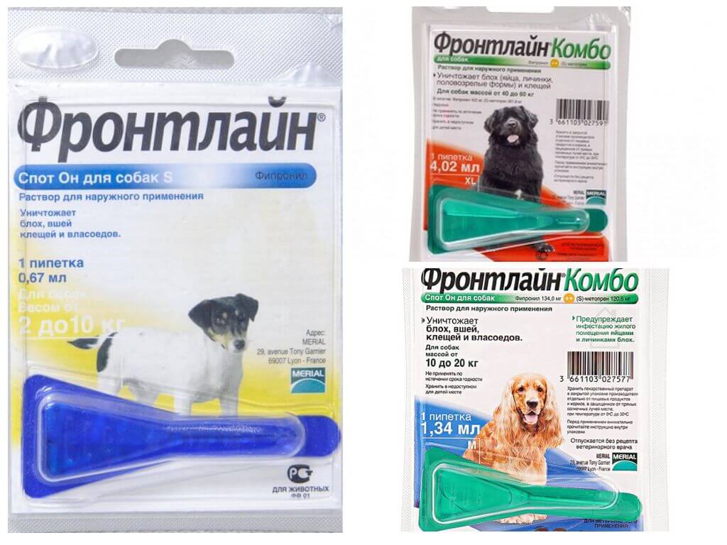 Chiens de première ligne pour chiens mode d'emploi et avis