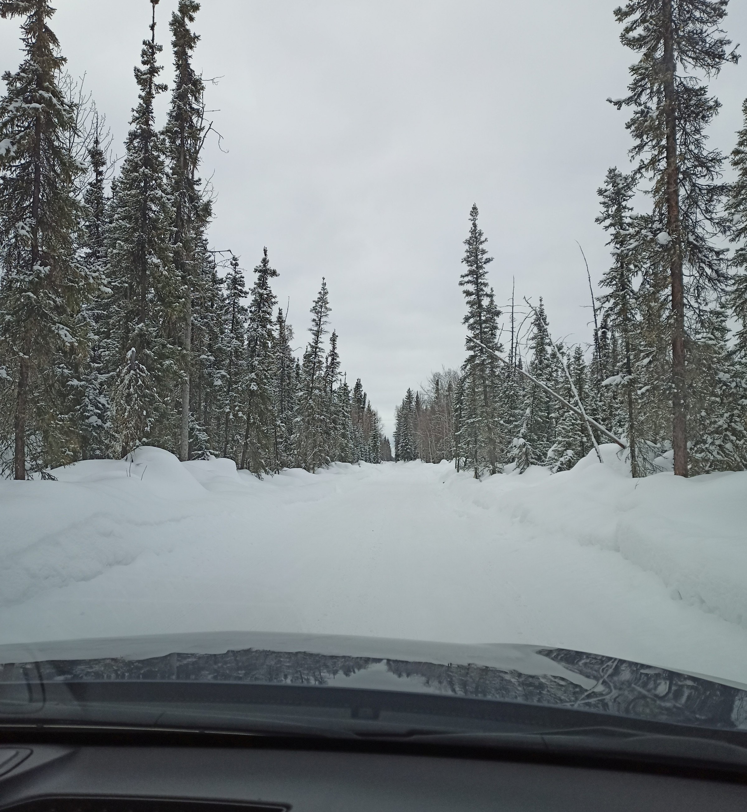 Avis du vol Alaska Airlines Fairbanks → Anchorage en Domestic First