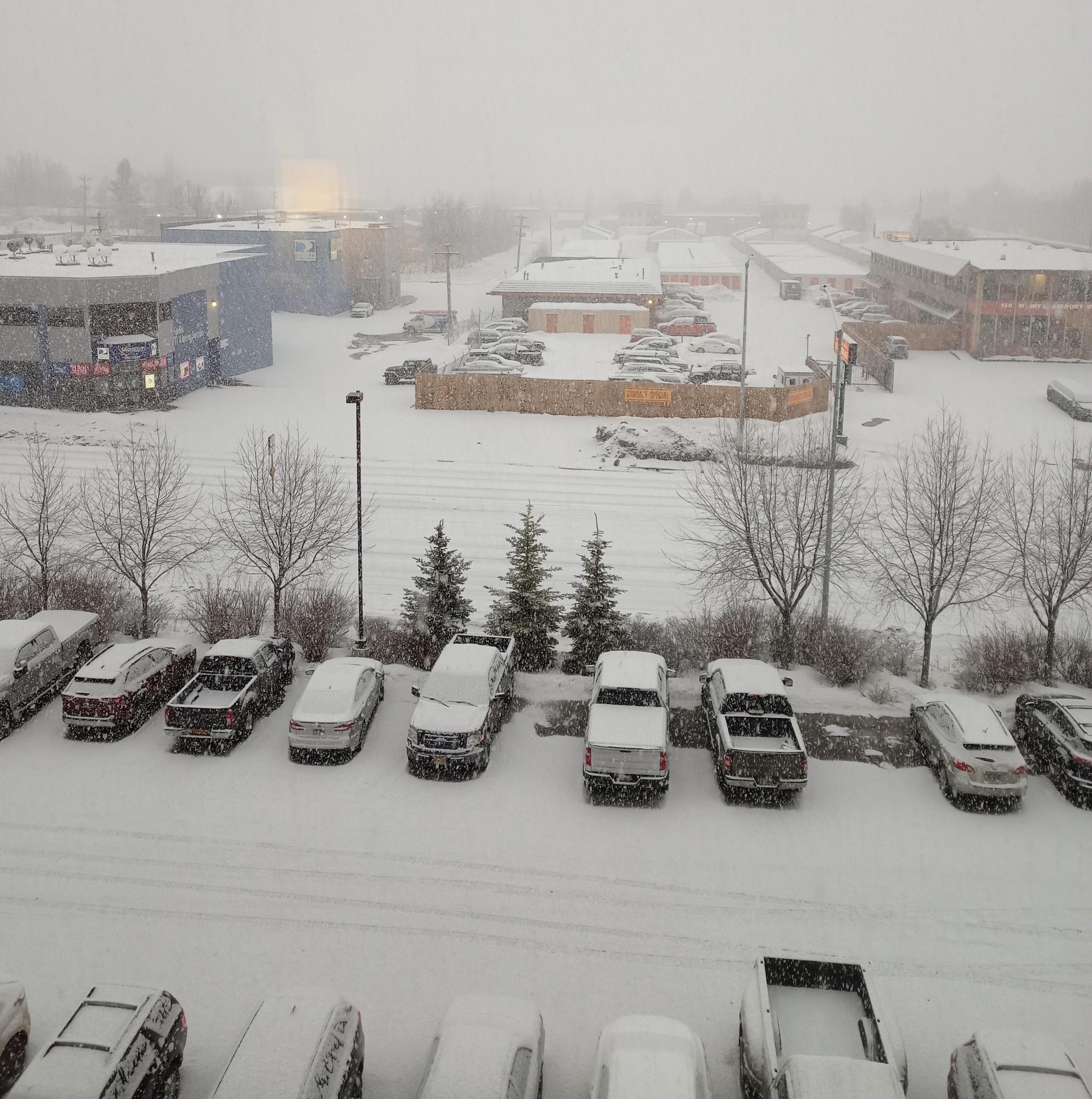 Avis du vol Delta Air Lines Anchorage → Seattle en Domestic First