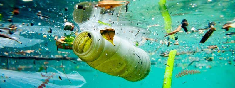 Bientôt plus de plastique que de poissons dans les océans Enfant de