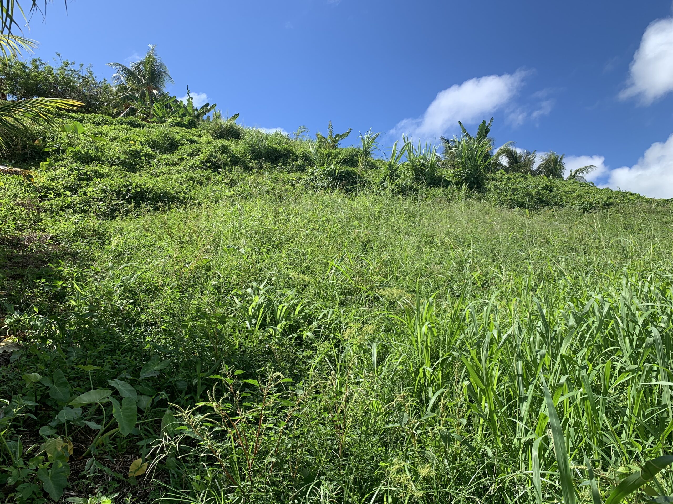 Land for Sale South Union Fracks Real Estate