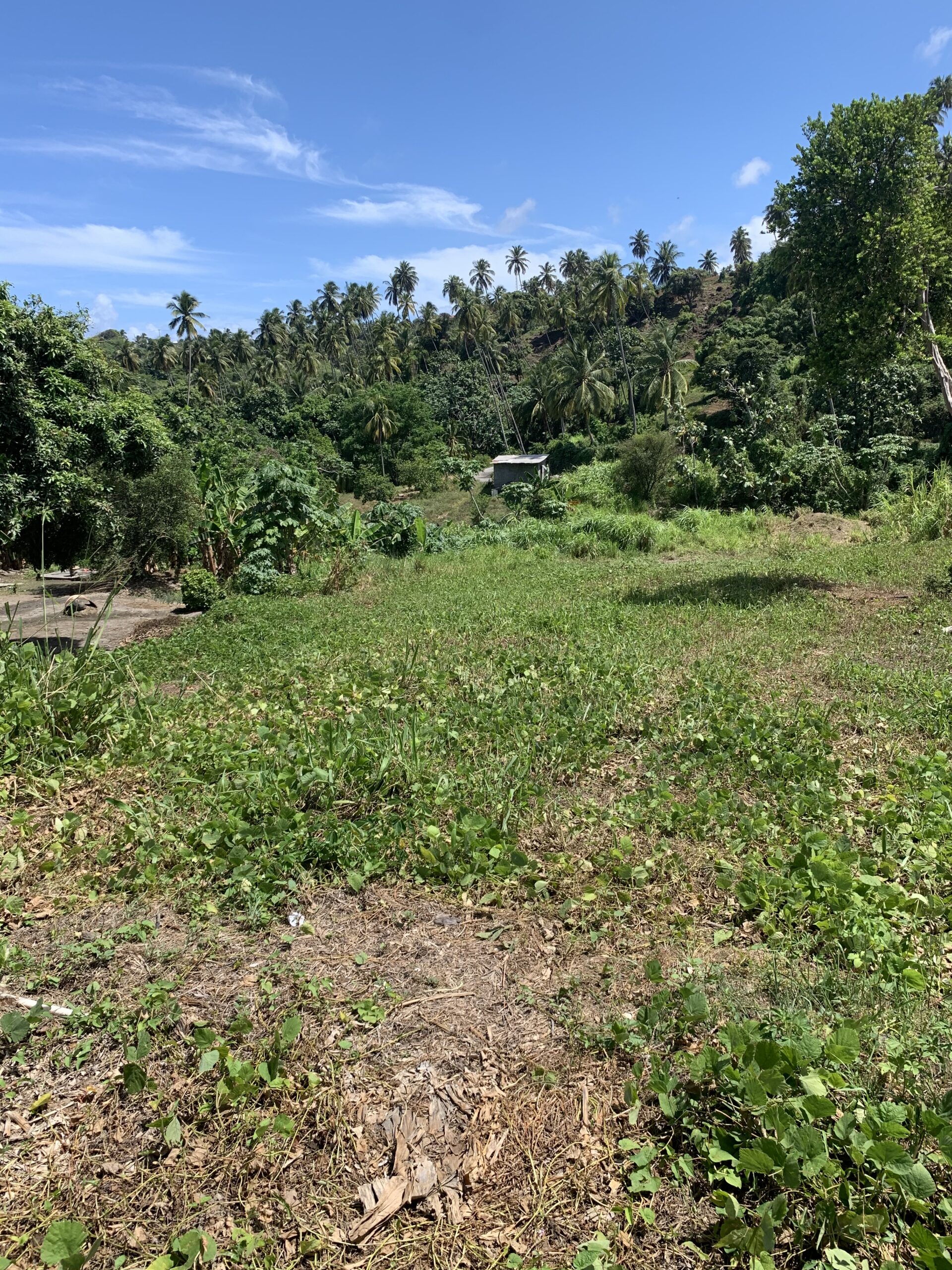 LAND FOR SALE SOUTH UNION Fracks Real Estate