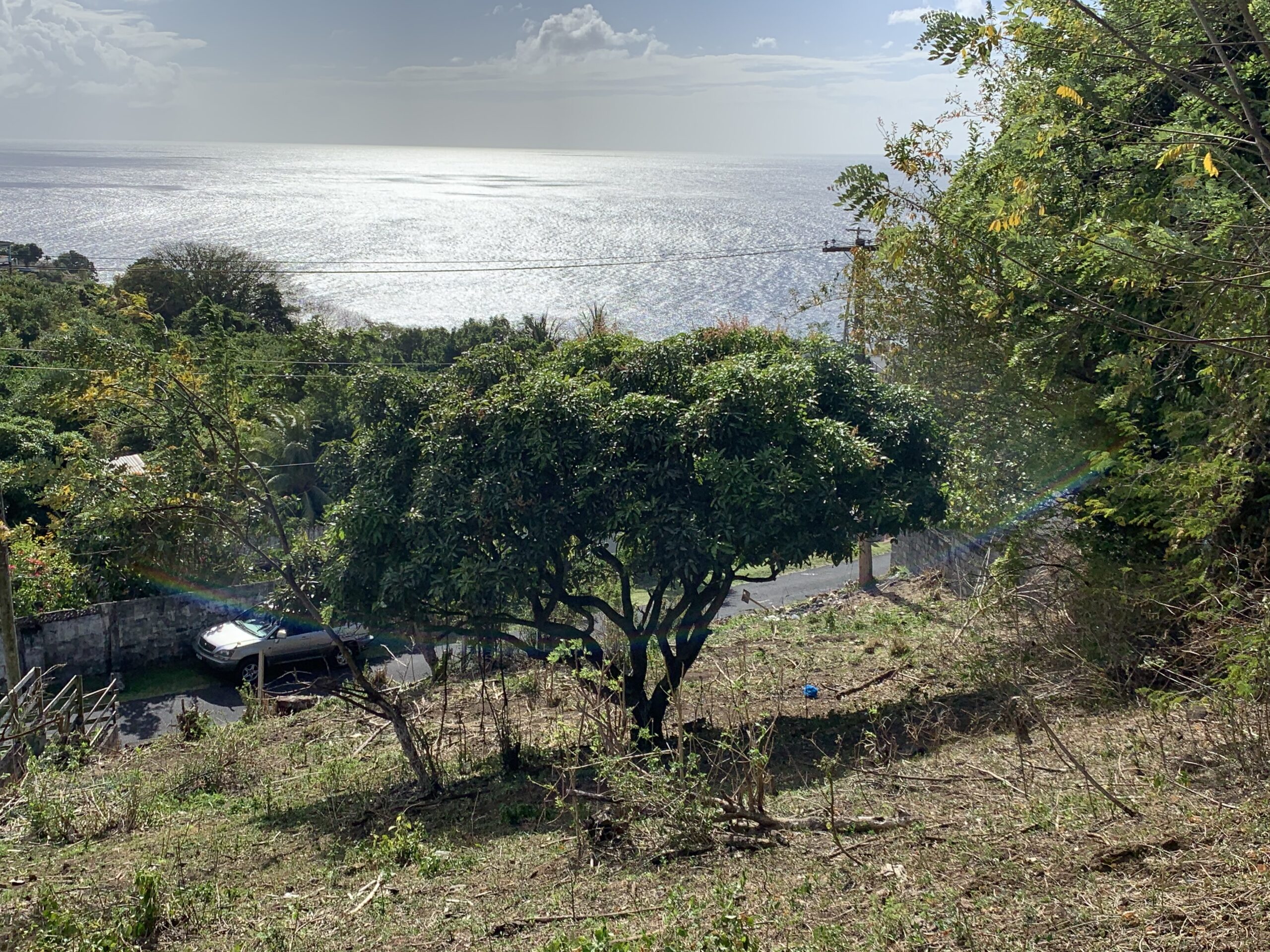 LAND FOR SALE CANE GARDEN Fracks Real Estate