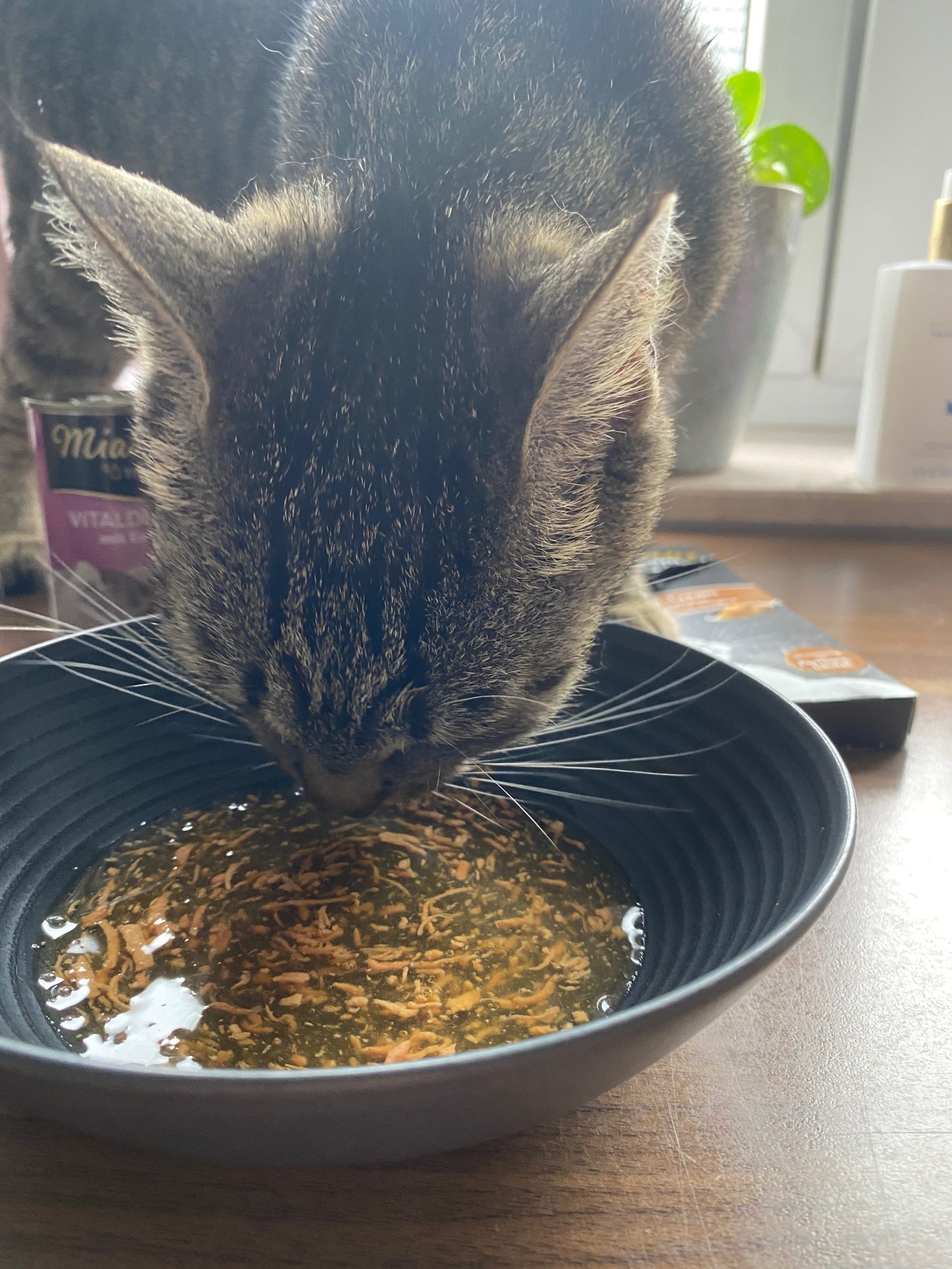 Miamor Trinkfein Köstlicher Trinkgenuss für Katzen