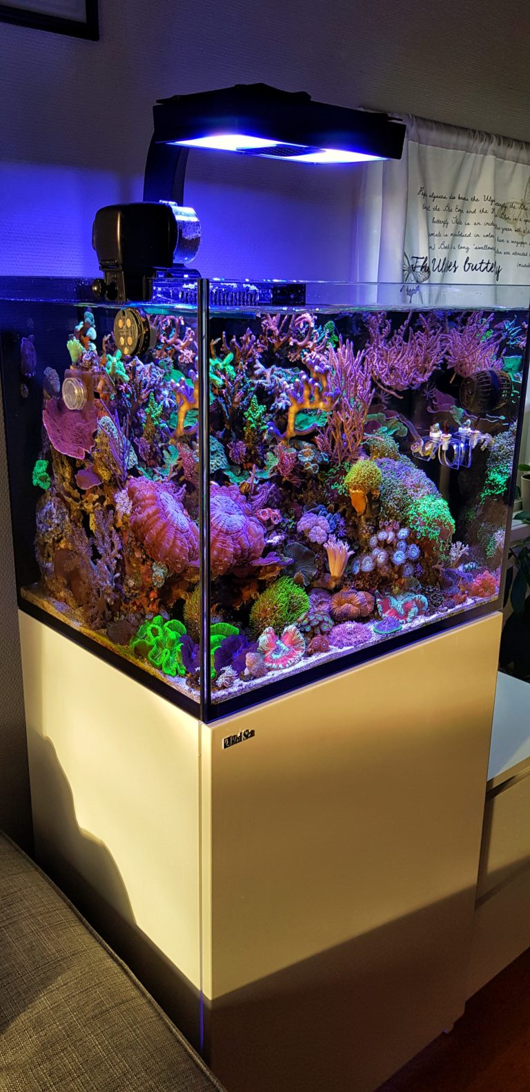 Red Sea Reefer 170 Fragbox Corals in Toronto, Ontario