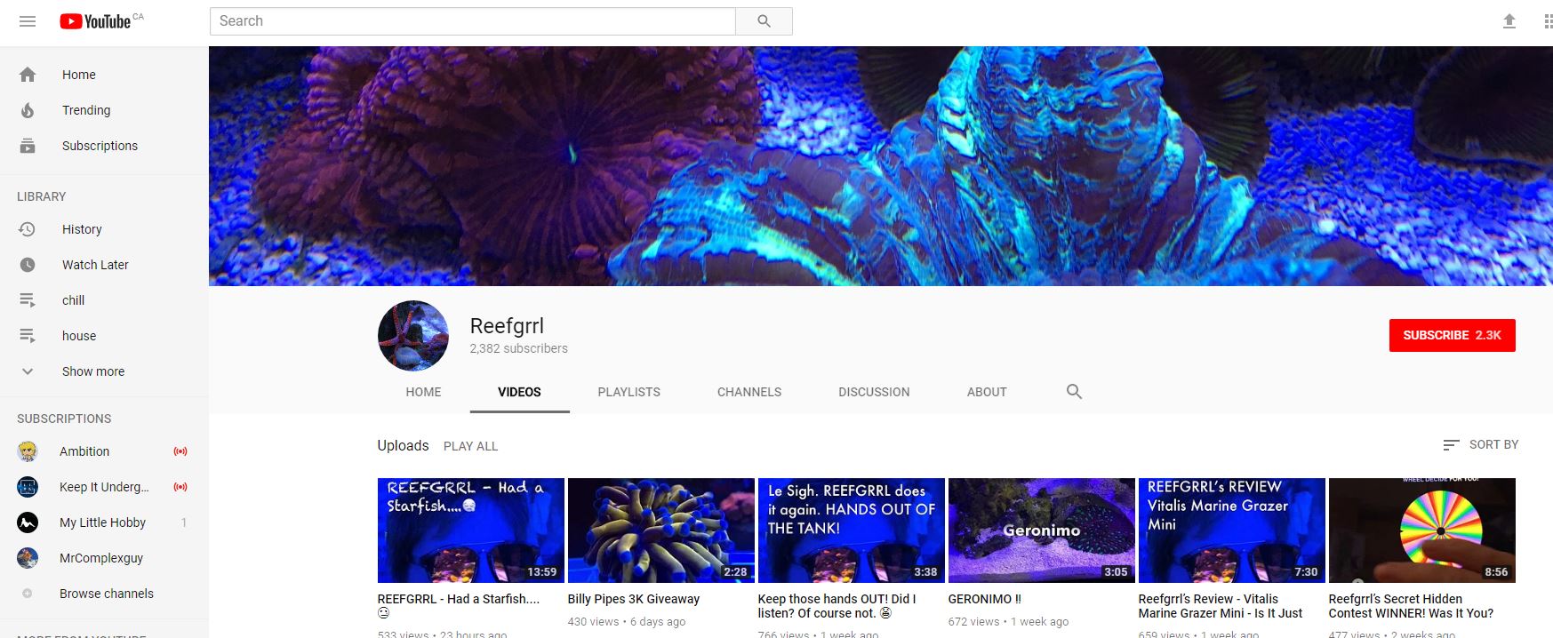 Ordering Corals Online Frag Box Corals