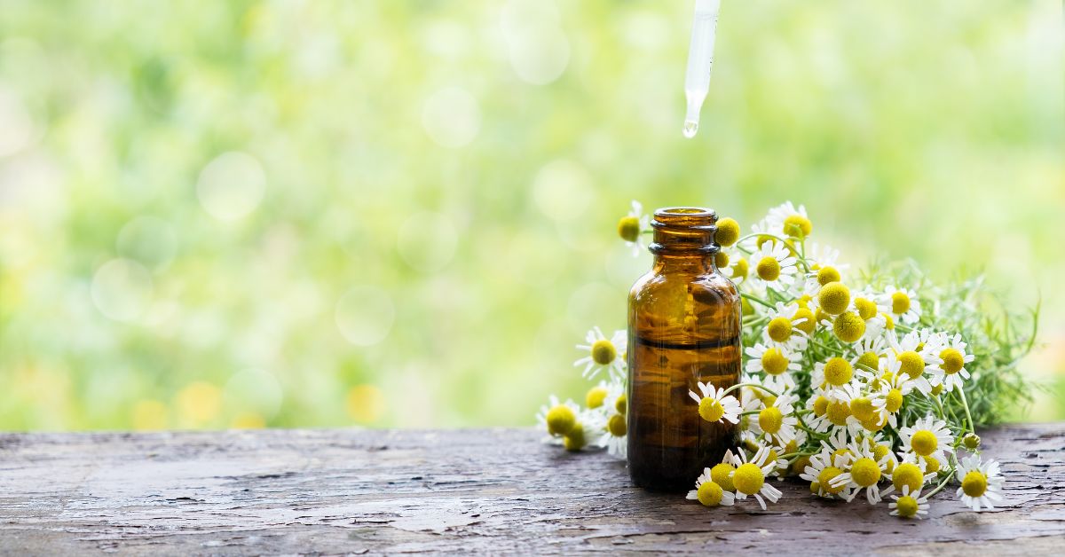 How To Use Perfume Oil The Ultimate Guide