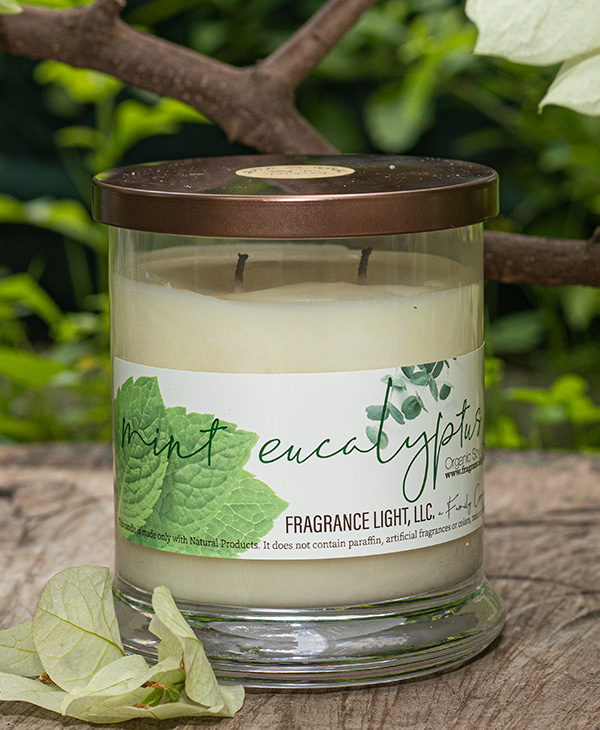 Fragrance Light Organic Soy Candles, Cande Store