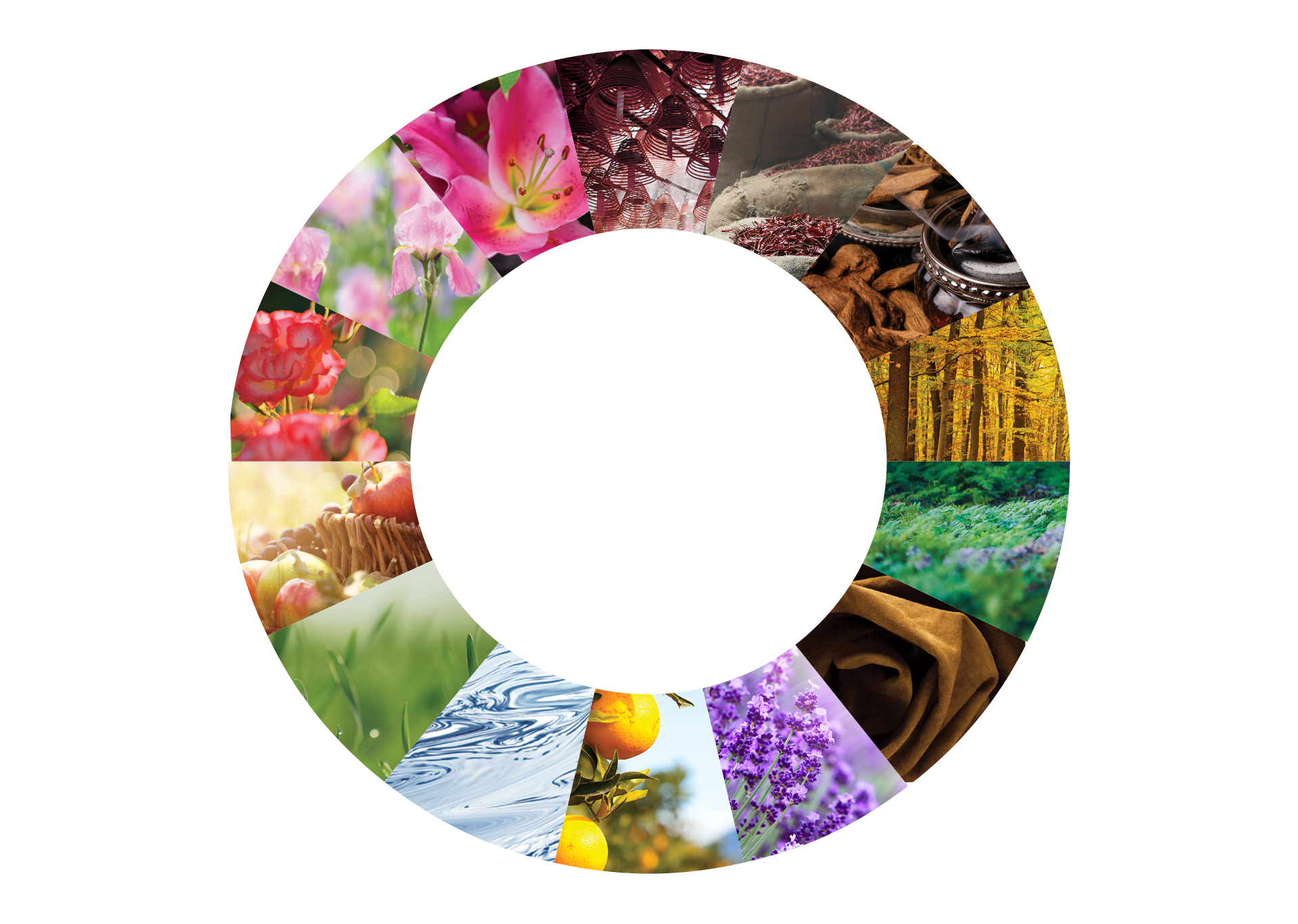 Explore Michael Edwards’ Fragrance Wheel Discover Michael Edwards