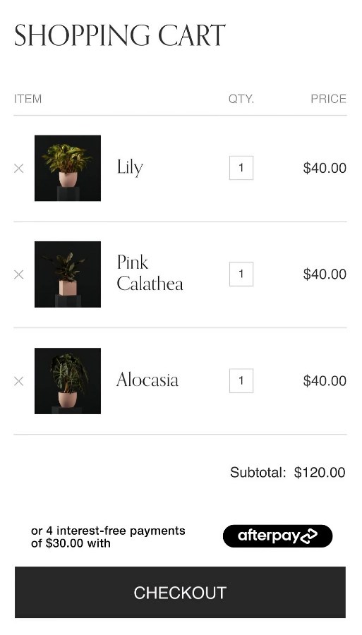 Squarespace review online store that looks good