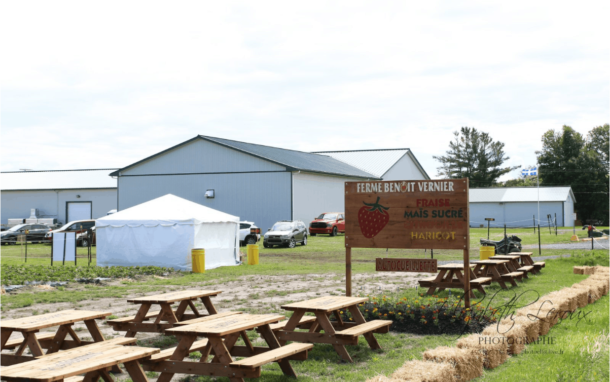 Ferme Benoît Vernier inc. Fraises et framboises du Québec