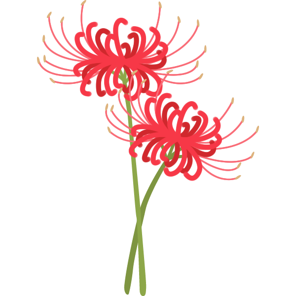 彼岸花のイラスト | 季節行事の無料イラスト素材集 彼岸花（ひがんばな）のイラスト素材 | 無料フリーイラスト素材集【Frame Illust】