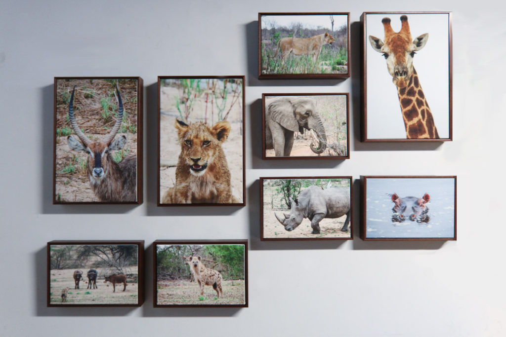 Canvas Float Frames Original Photographs From Africa Frame It Here