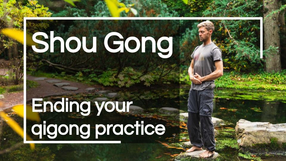 Shou Gong Frameless Meditation