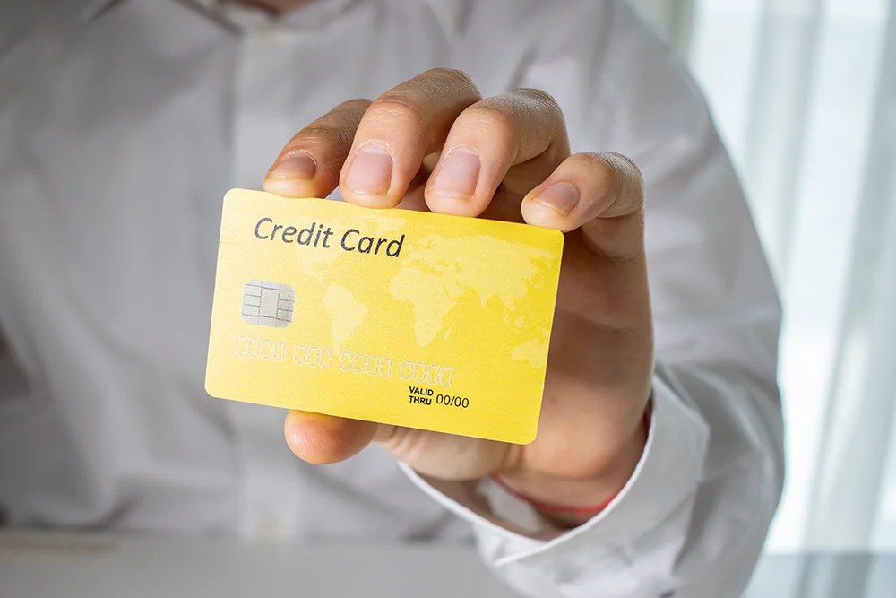 What is a Credit Card? How Do Credit Cards Work? Freo
