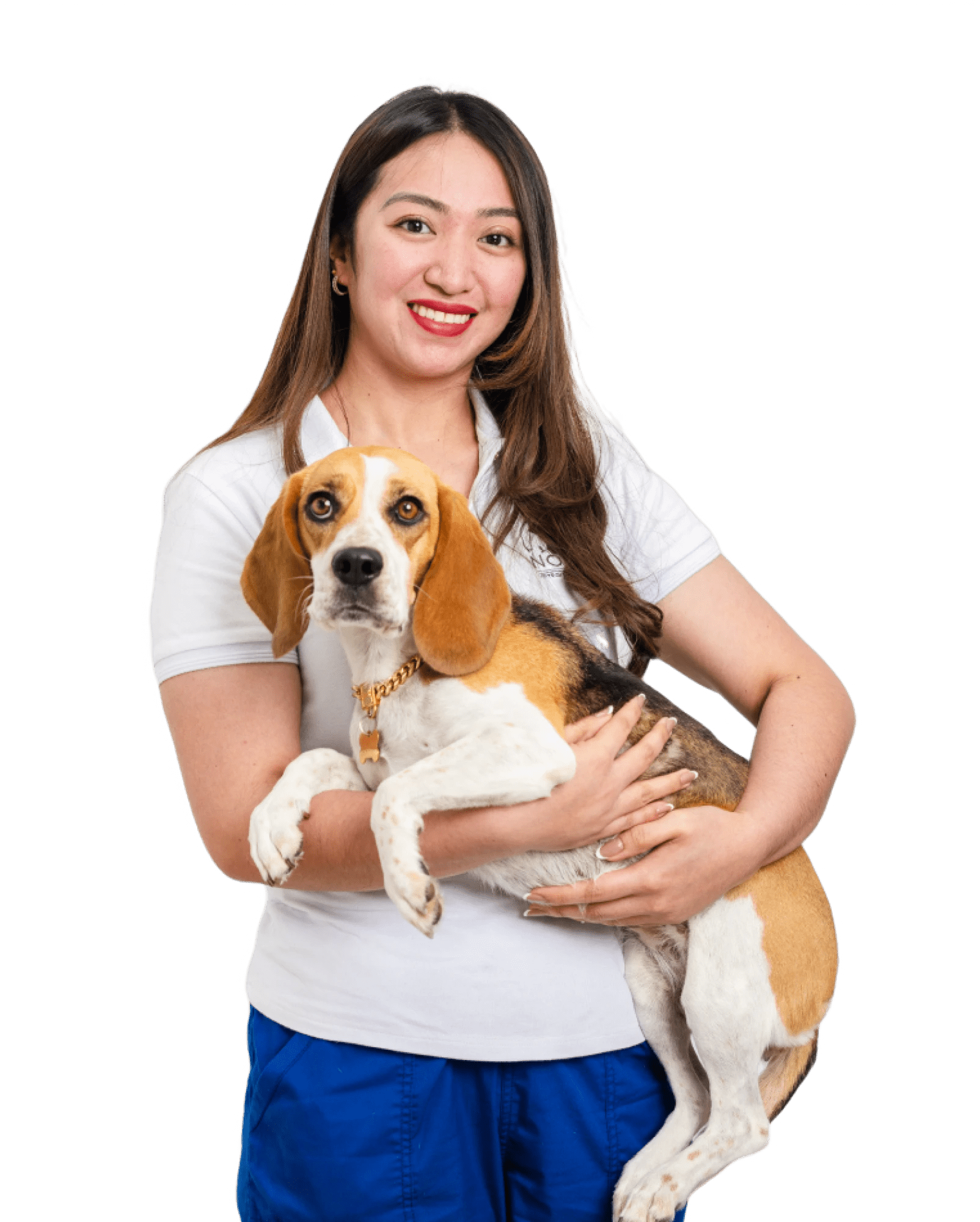 DIP Vet Clinic in Dubai Emergency Pet Care at Noble Vet DIP
