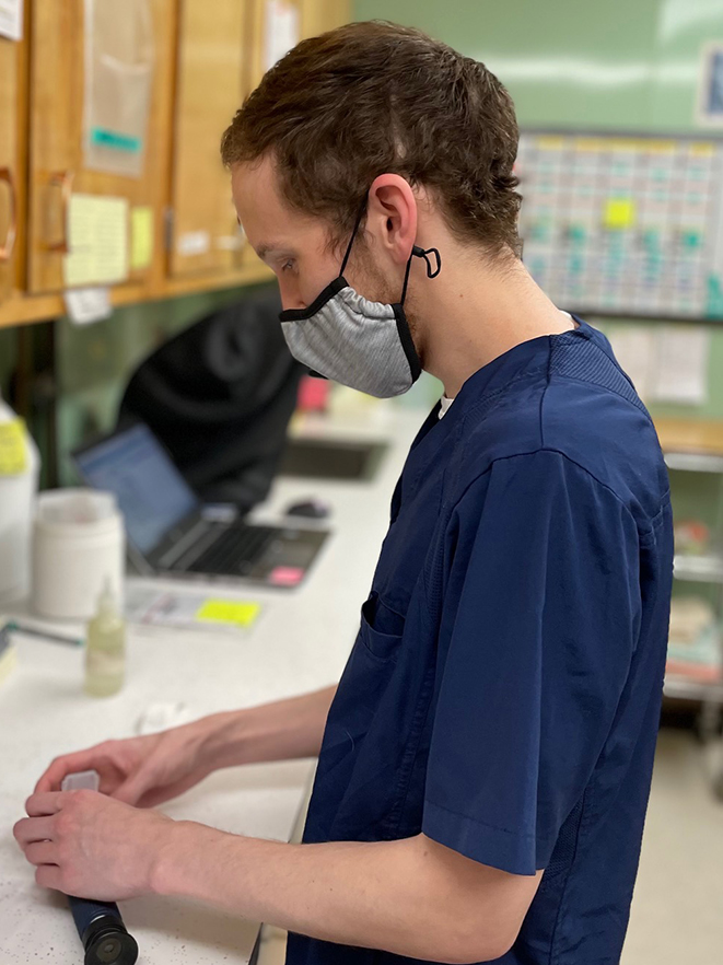 Diagnostics Vet in Framingham Framingham Animal Hospital