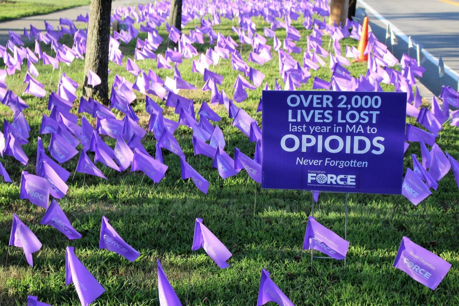 Framingham FORCE To Place Purple Flags on Centre Common In Memory of