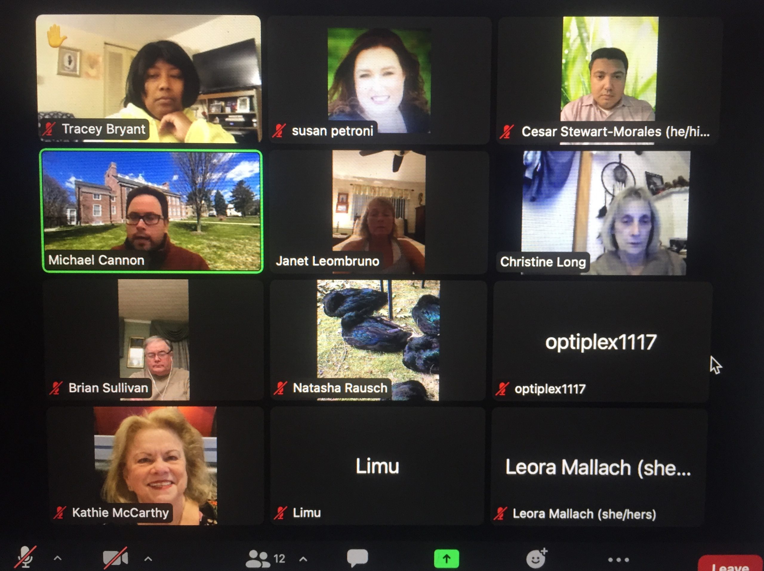 Long Voted Chair of the Expanded Framingham City Council's Planning