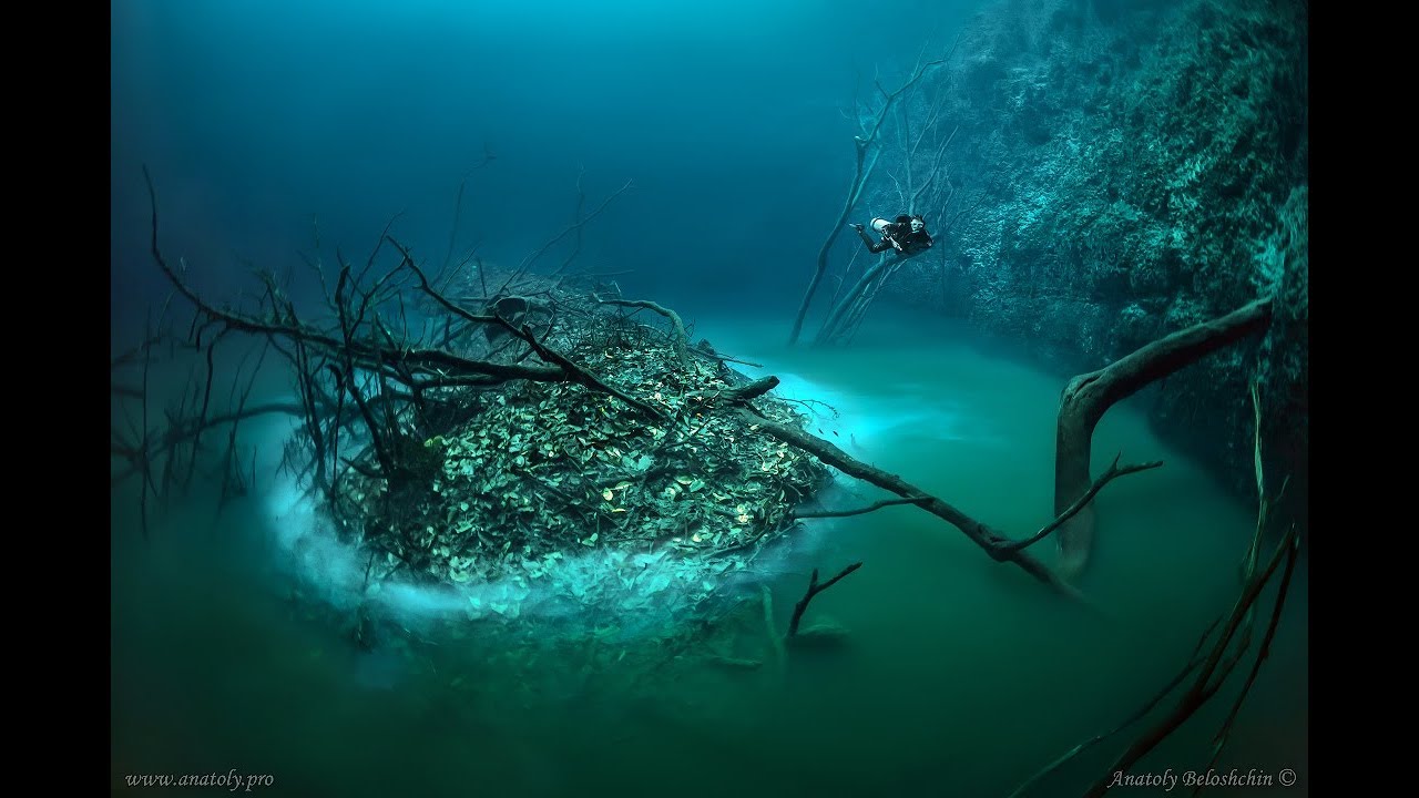 Visste du dette om havet?