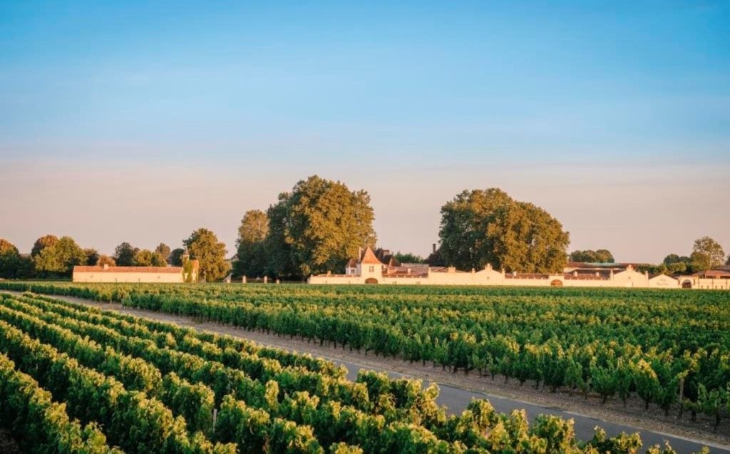 Château Rauzan Segla Franc About Wine