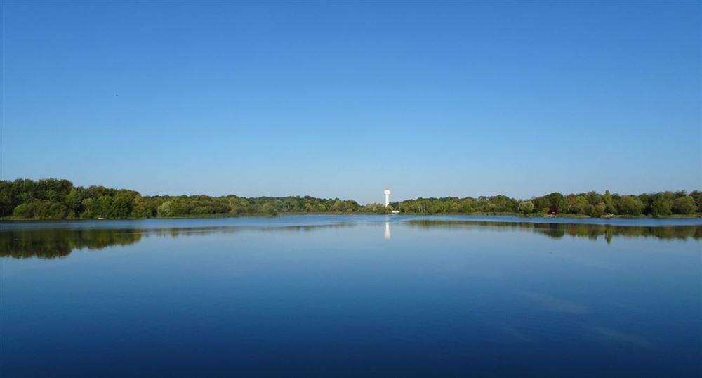 L'étang des Noës