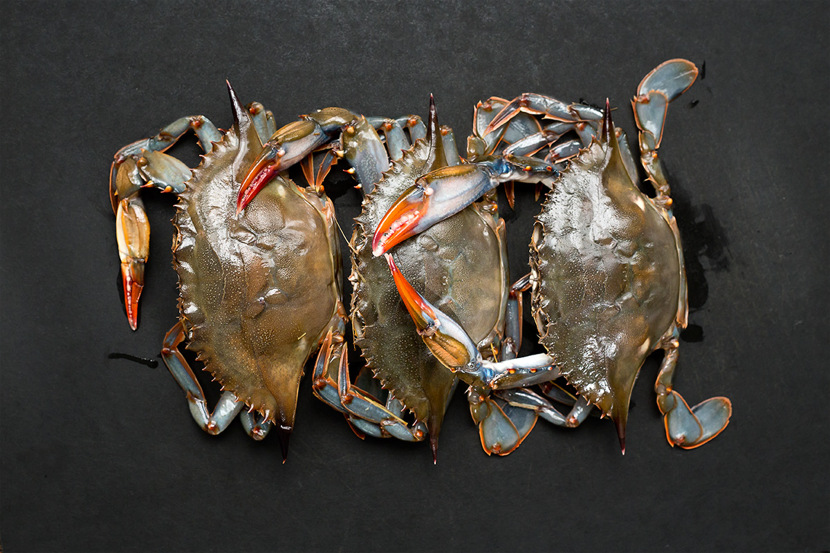 pan_fried_soft_shell_crab Frances' Menu