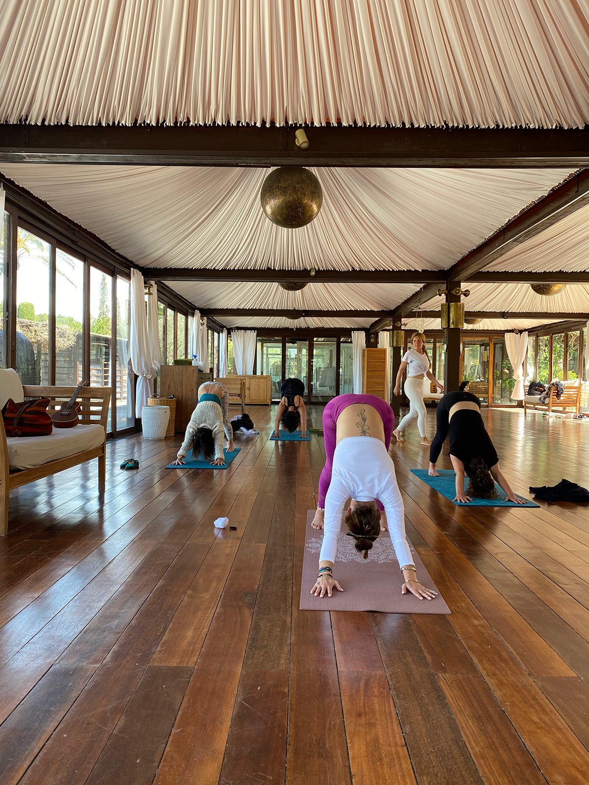 Private yoga classes groups or one to one in with Francesca