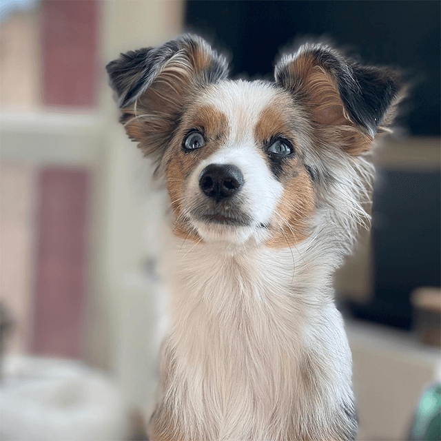 Frances Apartments Northeast Apartments in Minneapolis