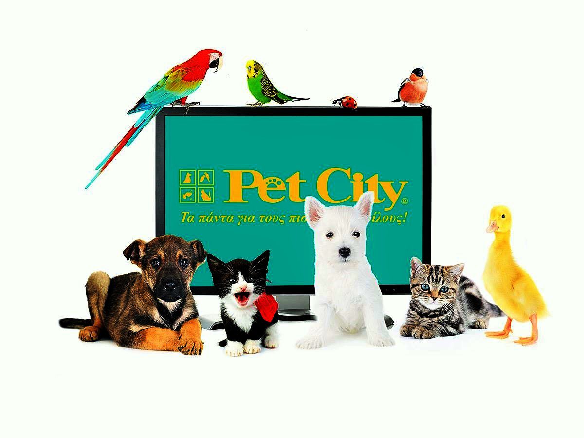 Pet City Νέο κατάστημα στον Βύρωνα για τους πιο πιστούς μας φίλους