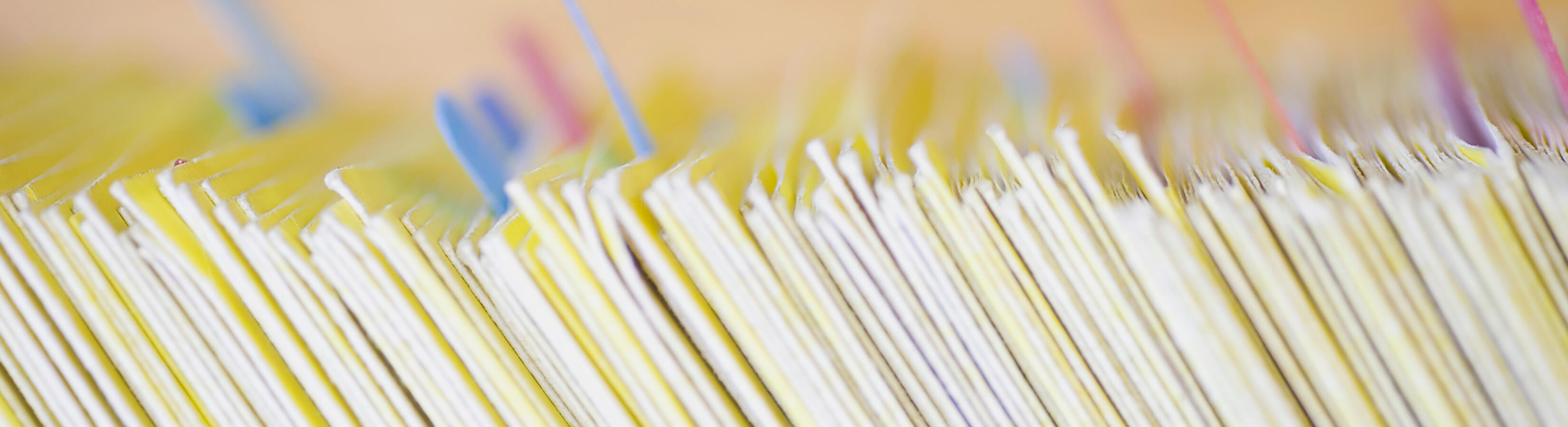 FDD source document banner FRANdata