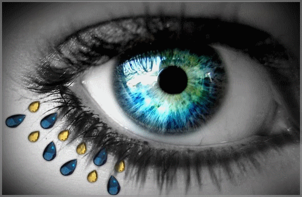les yeux et le regard