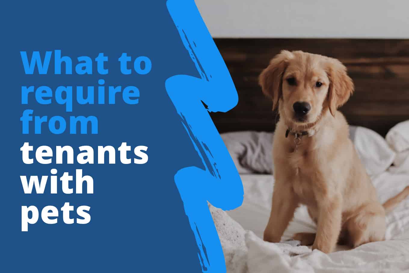 Tenant Pet Expectations What Landlords Should Require Frank Buys